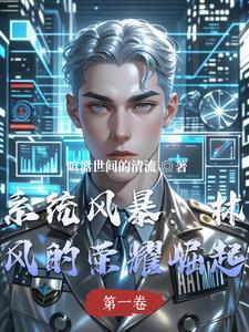林枫系统